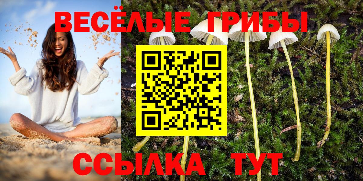 Галлюциногенные грибы Cubensis Канаш