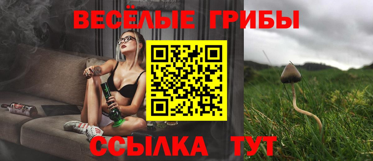 Канаш  Галлюциногенные грибы прущие грибы  Вход с VPN 